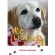 犬といっしょに。 [単行本]