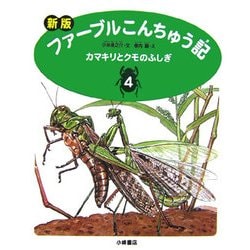 新版 ファーブルこんちゅう記〈4〉カマキリとクモのふしぎ [全集叢書]