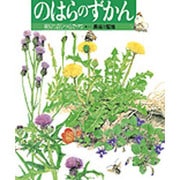 のはらのずかん―野の花と虫たち(絵本図鑑シリーズ〈12〉) [絵本]