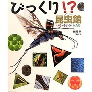 びっくり!?昆虫館―いろ・もよう・かたち(ちしきのぽけっと〈11〉) [絵本]