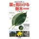 葉で見わける樹木 増補改訂版 (小学館のフィールド・ガイドシリーズ) [図鑑]