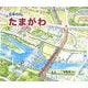 日本の川 たまがわ [絵本]
