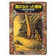 選ばなかった冒険－光の石の伝説（偕成社ワンダーランド 17） [全集叢書]