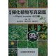 日本帰化植物写真図鑑―Plant invader600種 [図鑑]
