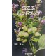 虫こぶハンドブック [図鑑]