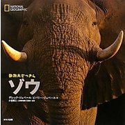 ナショナルジオグラフィック動物大せっきん ゾウ [図鑑]