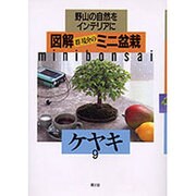 ケヤキ(図解 群境介のミニ盆栽―野山の自然をインテリアに〈9〉) [単行本]