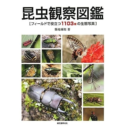 昆虫観察図鑑―フィールドで役立つ1103種の生態写真 [単行本]