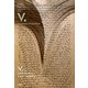 V.〈上〉 [単行本]
