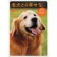 老犬との幸せな暮らし方―認知症・病気・介護・日常生活から最新治療法まで [単行本]