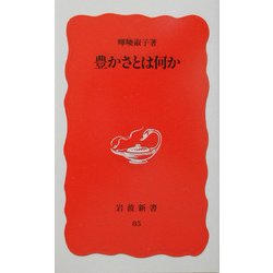 豊かさとは何か(岩波新書) [新書]
