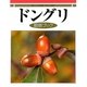 ドングリ観察ブック 普及版 [事典辞典]