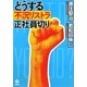 どうする不況リストラ 正社員切り [単行本]