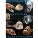 生物ビジュアル資料 深海魚 [全集叢書]