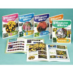 学校のまわりの植物ずかん(全5巻) [単行本]