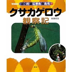 クサカゲロウ観察記(写真絵本 ぼくの庭にきた虫たち〈7〉) [絵本]