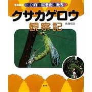 クサカゲロウ観察記(写真絵本 ぼくの庭にきた虫たち〈7〉) [絵本]