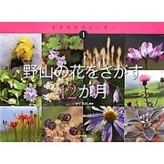 野山の花をさがす12か月(生きものカレンダー〈1〉) [絵本]