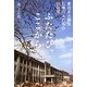 ふたたび、ここから―東日本大震災・石巻の人たちの50日間 [単行本]