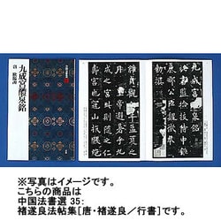 〓遂良法帖集(中国法書選〈35〉) [全集叢書]