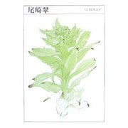 尾崎翠―1896-1971(ちくま日本文学〈004〉) [文庫]
