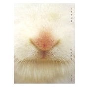 うさぎじま [単行本]