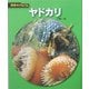 ヤドカリ(科学のアルバム〈99〉) [全集叢書]