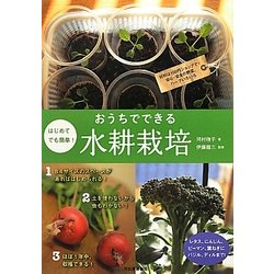 はじめてでも簡単!おうちでできる水耕栽培―材料は100円ショップで!安心・安全の野菜、ハーブいろいろ [単行本]