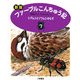 新版 ファーブルこんちゅう記〈7〉シデムシとゾウムシのなぞ [全集叢書]