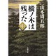 樅ノ木は残った（中）(新潮文庫) [文庫]