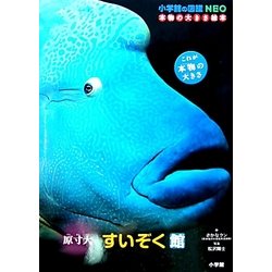 原寸大 すいぞく館(小学館の図鑑NEO 本物の大きさ絵本) [図鑑]