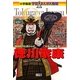徳川家康―戦国時代を終わらせ「太平の世」を築く(小学館版 学習まんが人物館) [全集叢書]