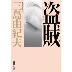 盗賊 改版 (新潮文庫) [文庫]