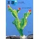 王国〈その3〉ひみつの花園(新潮文庫) [文庫]