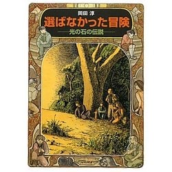 選ばなかった冒険―光の石の伝説(偕成社文庫) [全集叢書]