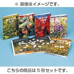花のたね・木の実のちえ(全5巻) [全集叢書]