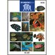 魚 改訂版 (野外観察図鑑〈4〉) [図鑑]