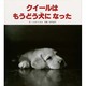 クイールはもうどう犬になった [絵本]