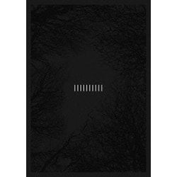 the GazettE／the GazettE 10TH ANNIVERSARY THE DECADE LIVE AT 03.10 MAKUHARI MESSE [DVD]