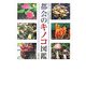 都会のキノコ図鑑 [図鑑]
