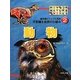 最先端ビジュアル百科 不思議な自然の仕組み〈2〉動物 [図鑑]