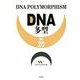 DNA多型 Vol.20 [全集叢書]