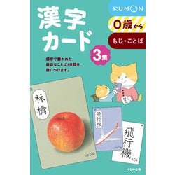 漢字カード3集 [単行本]