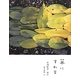 草にすわる [単行本]