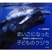 まいごになった子どものクジラ―南太平洋トンガ王国のザトウクジラ(小学館の図鑑NEOの科学絵本) [絵本]