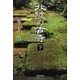 北陸の古寺〈下〉 新装版 [単行本]