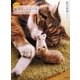 もっと猫毛フェルトの本―うちの猫と楽しむ簡単ハンドクラフト [単行本]