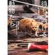 待ちつづける動物たち―福島第一原発20キロ圏内のそれから [単行本]