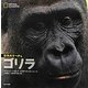 ゴリラ(ナショナルジオグラフィック動物大せっきん) [図鑑]