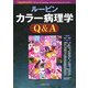 ルービン カラー病理学Q&A [単行本]